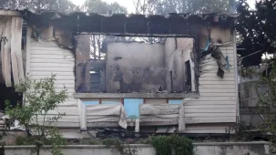 İzmir'de Orman Yangını Hasara Yol Açtı