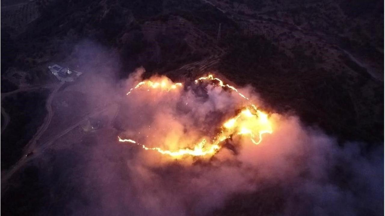 Keneyi Yakarken Ormanı Yaktı