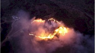 Keneyi Yakarken Ormanı Yaktı